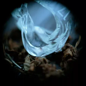 Ossicles - Mantelpiece CD