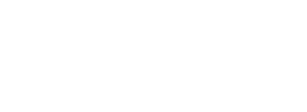 SHAMAN ELEPHANT LOGO