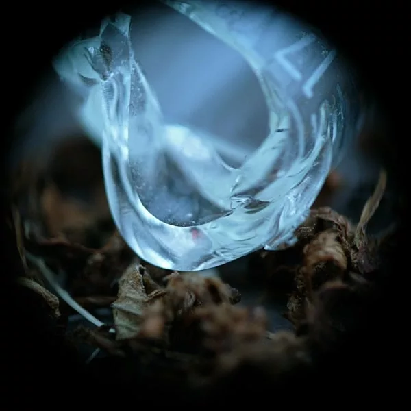 Ossicles – Mantelpiece
